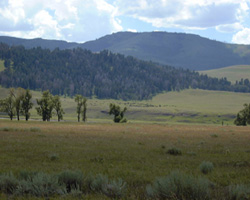 Yellowstone's Lamar Valley