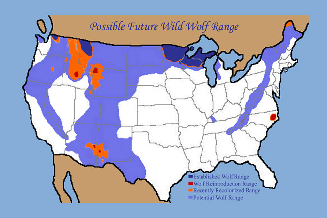 Possible Wild Wolf Range if the Wild Lands Project happens