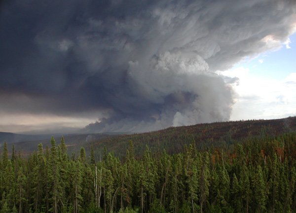 wildfire.jpg