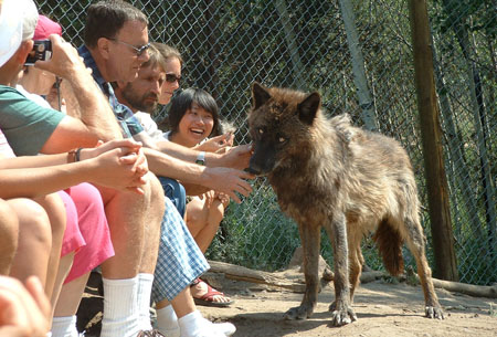 Maggie greets visitors to her enclosure