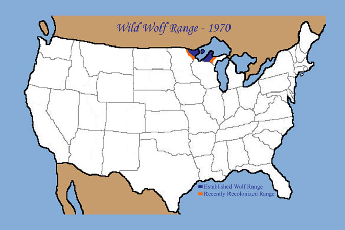 mexican grey wolf map