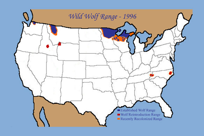 Wild Wolf Range - 1996