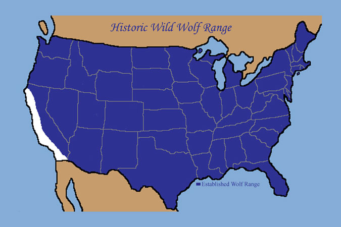 Historic Wild Wolf Range