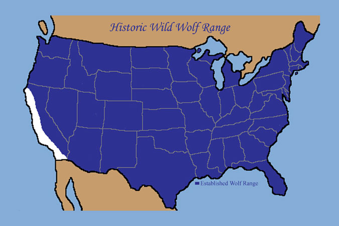 mexican grey wolf map